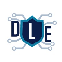 DLE Cyber logo - Similar company to Netfly Cyber Systems