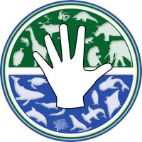 5W Foundation logo - Similar company to Osys Ltd