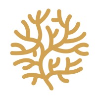 Directiecoach.nl