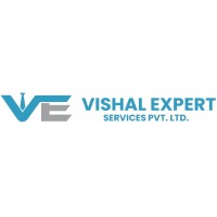 VISHAL EXPERT SERVICES PRIVATE LIMITED logo - Similar company to Adlernio Pvt.Ltd