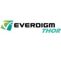 Everdigm Thor Pty Ltd logo - Similar company to Everdigm Sa