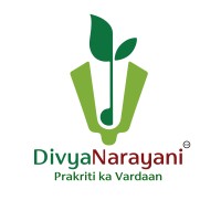 DivyaNarayani logo - Similar company to Coding Shadab