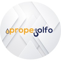 PROPEGOLFO SA DE CV logo - Similar company to Project Material Pty Ltd