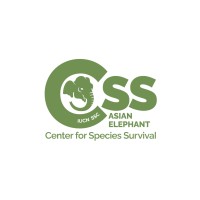 CSS Asian Elephant logo - Similar company to Peermade Development Society