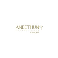 Aneethun BHNorte logo - Similar company to Bld Construtora