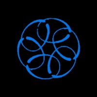 Futuryze logo - Similar company to Dsz