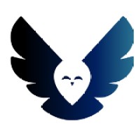 Allseek logo - Similar company to Kapuani