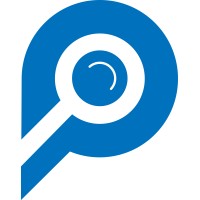 Parsedom logo - Similar company to Soek Tech Solutions