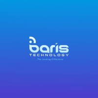 Baris CyberTech logo - Similar company to Remitng