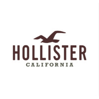 Hollister Co. logo - Similar company to Fox Socials