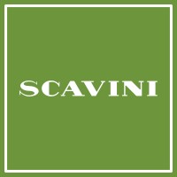 Scavini Paris logo - Similar company to Aerth