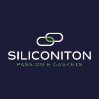 Siliconiton logo - Similar company to Gb Srl