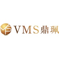 VMS Group logo - Similar company to Poly Developments And Holdings