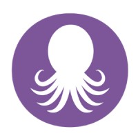 Octopus Consulting logo - Similar company to Mrns Global Tech