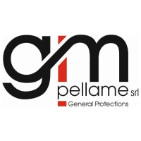 GM PELLAME SRL logo - Similar company to React Project