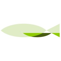 kyomei.ai logo - Similar company to 5Xup Venture Builder