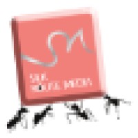 Silk Route Media logo - Similar company to Sinex Technologies Pvt Ltd