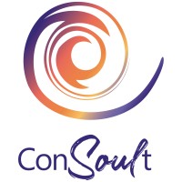 PS ConSOULt GmbH logo - Similar company to Aeqlia