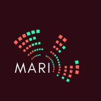 Multicultural Australia Research Institute logo - Similar company to Centre Of Multicultural Political Engagement Literacy And Leadership