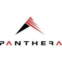 Panthera Worldwide logo - Similar company to Stronghold Sof Solutions