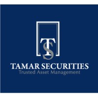 Tamar Securities, LLC logo - Similar company to Naviguide Wealth Partners, Inc.
