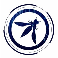 OWASP Chennai Chapter logo - Similar company to Null Chennai