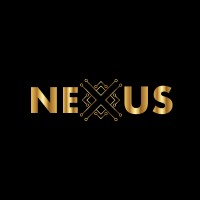 Nexus Digital Agency logo - Similar company to Nexus Ds