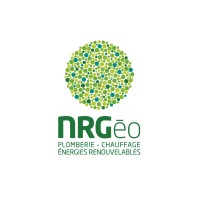 NRGéo logo - Similar company to Tecso Sas
