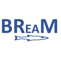 BREAM logo - Similar company to Hively Limited