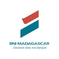 BNI Madagascar logo - Similar company to Nexta