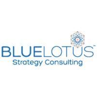 BlueLotus Management Consultants LLP logo - Similar company to Linkchains India
