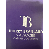 THIERRY BRAILLARD ET ASSOCIES logo - Similar company to Electric Social