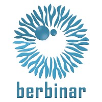 PT Berbinar Insightful Indonesia logo - Similar company to Pt Consense Teknologi Indonesia