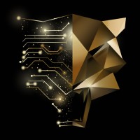 Trade Software & Consult