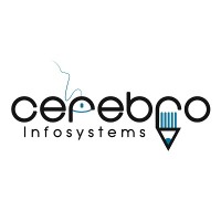 Cerebro Infosystems logo - Similar company to Ducksocket