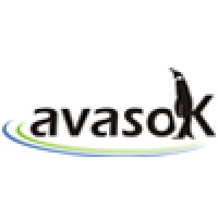 Avasok d.o.o. logo - Similar company to Synergy Connections