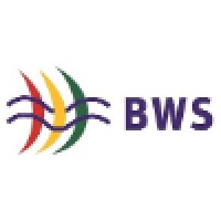 Blue Wind Systems NA, Inc logo - Similar company to Brainmarks Technologies
