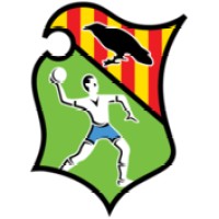 Club BM Granollers logo - Similar company to El9Nou