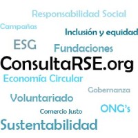 ConsultaRSE logo - Similar company to Asincopp
