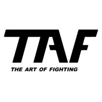 TAF | THE ART OF FIGHTING logo - Similar company to Emiliano Picardi