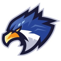 Black Hawk logo - Similar company to Bim Professional Consultancy Pte Ltd