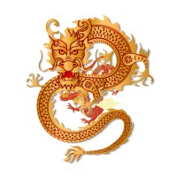 China Consulent logo - Similar company to China Growth Hackers