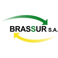 BRASSUR S.A. logo - Similar company to Geoinformática Consultores