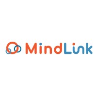Mindlink Resources logo - Similar company to Hit Services, Llc