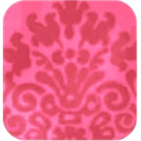 Solielle Design Studio Llc