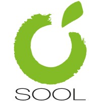 Suomen Opettajaksi Opiskelevien Liitto Sool Ry