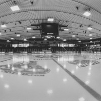 Young Arena logo - Similar company to True360