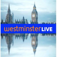 Westminster Live Studios logo - Similar company to Feltech Electronics Ltd