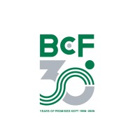 BCF Italia logo - Similar company to Pieffe Srl Padova