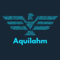 Aquilahm logo - Similar company to Version Best